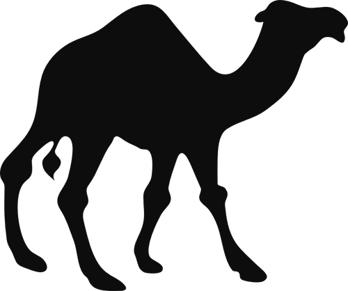 Camel silhouette vector image