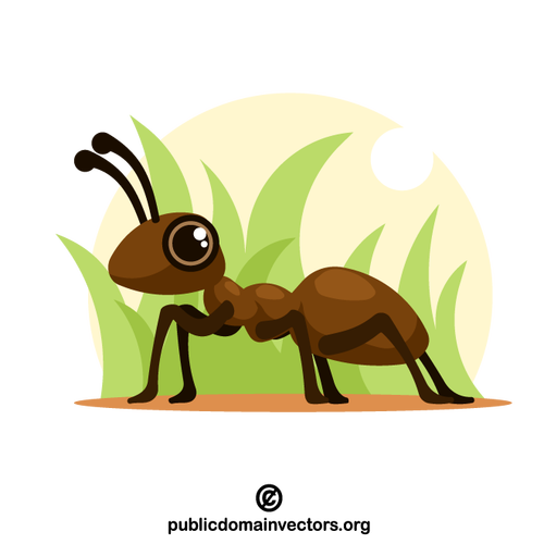 Ant insect