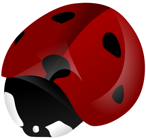 Ladybird vector