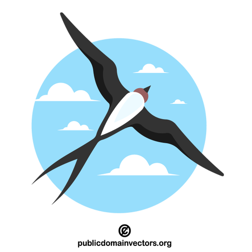 Swallow with spread wings