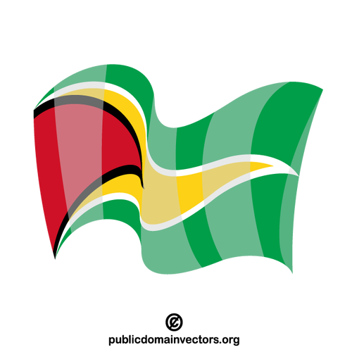 Guyana country flag