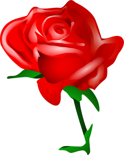 Red rose vector art