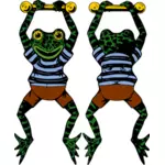 Векторное изображение лягушки acrobat