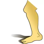 Grafika wektorowa ludzkich nóg