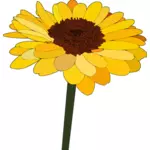 Sunflower vector drawing