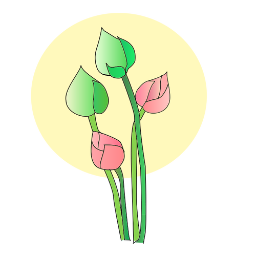 Векторный цветок тюльпан