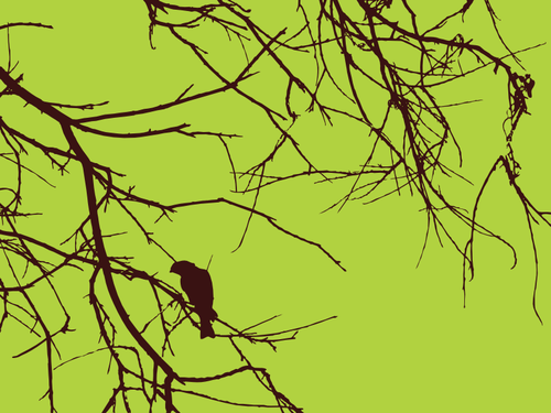 Fågel på gren vektorritning