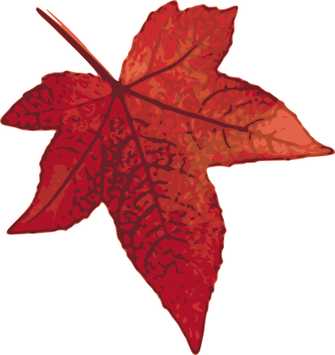 Красный кленовый лист векторное изображение