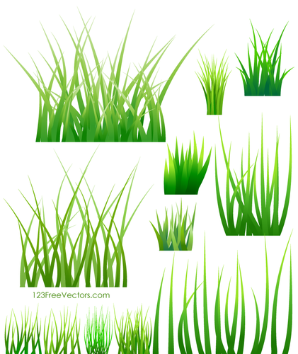 Proben von grünem Gras