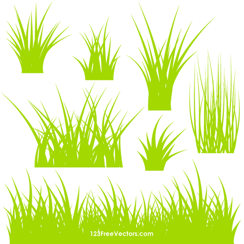 Grass vzorky