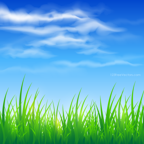 Blauwe hemel en groen gras