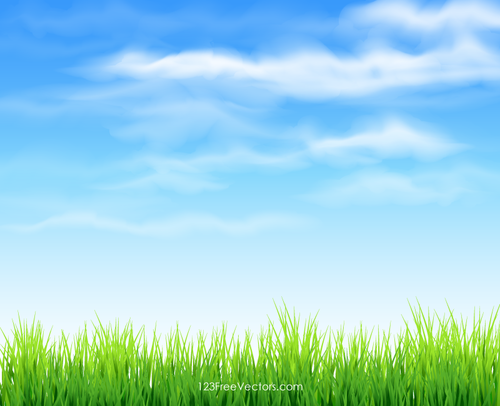 Himlen och gräset bakgrund