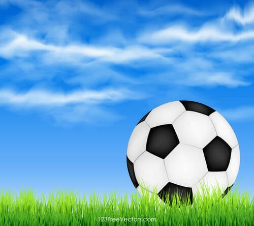 हरी घास पर फुटबॉल की गेंद