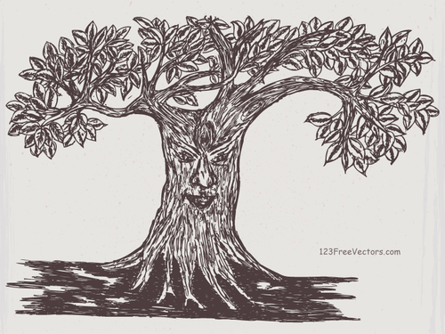Dibujo de la cara del árbol