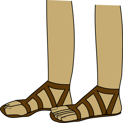 Feet in sandals vector image
