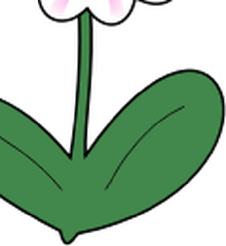 矢量图形的雏菊与长长的绿色叶子
