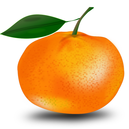 Orange und Blatt