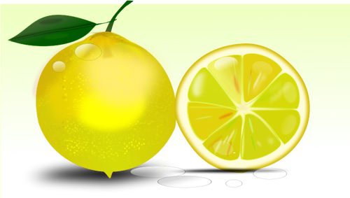 Citron vektorový obrázek