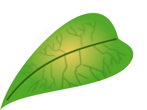 Masitý zelený list