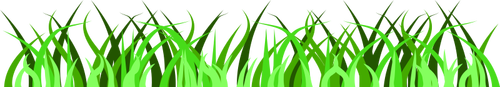 Folhas da grama