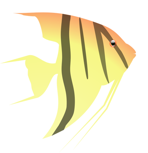 Melek balığı