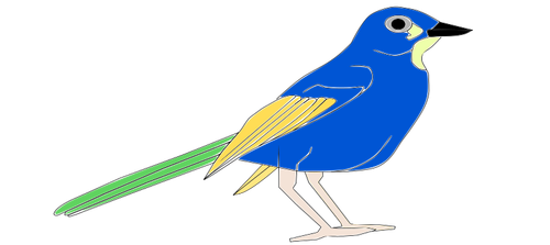 Immagine del pappagallo variopinto