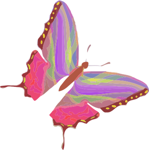 Regenbogen-Schmetterling