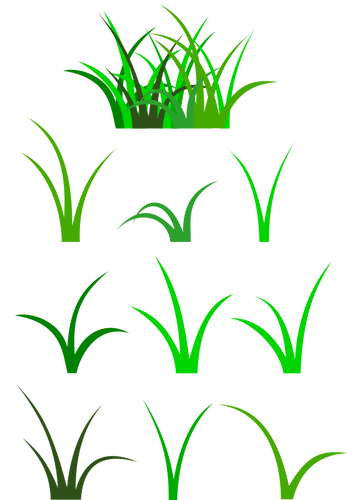 Bladeren van gras