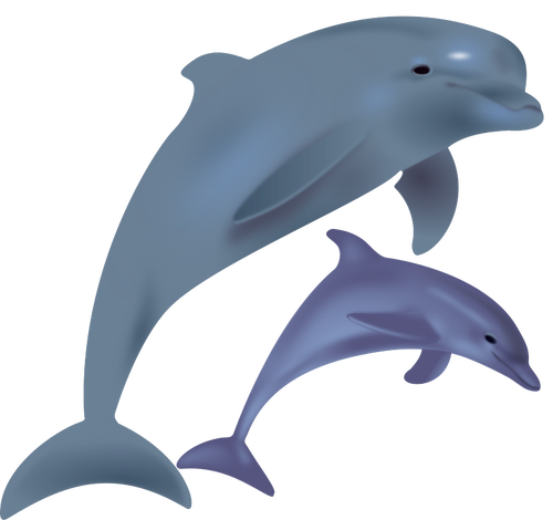 Due delfini