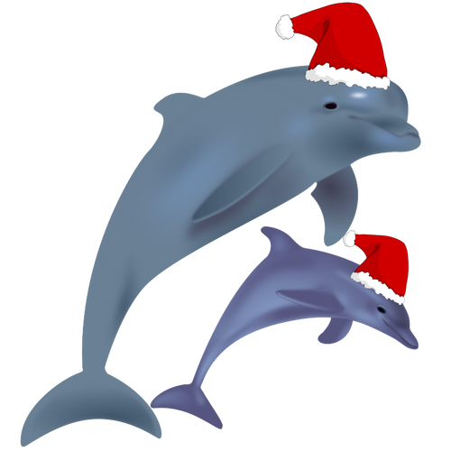 Christmas dolphins
