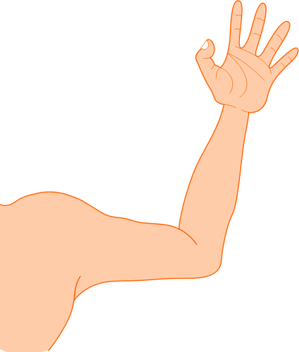 Vektor ilustrasi tipis laki-laki lengan