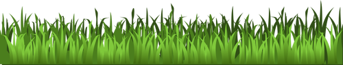 Zielony obraz trawy