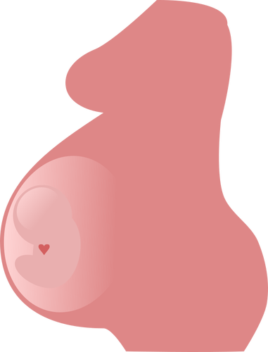 Image vectorielle de grossesse