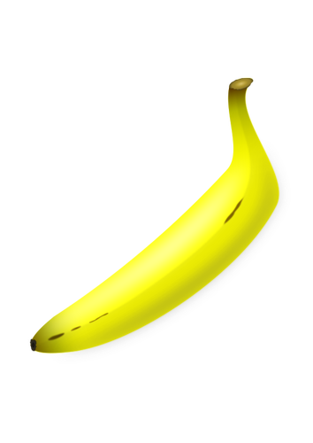 Clipart vectorial de plátano en forma recta