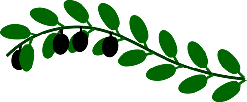 オリーブの枝の画像