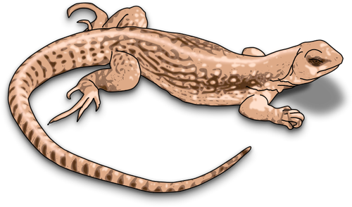 Иллюстрация коричневый ящерица с тенями