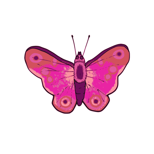 गुलाबी और बैंगनी तितली के वेक्टर चित्रण