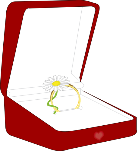 Ilustração em vetor de caixa do anel
