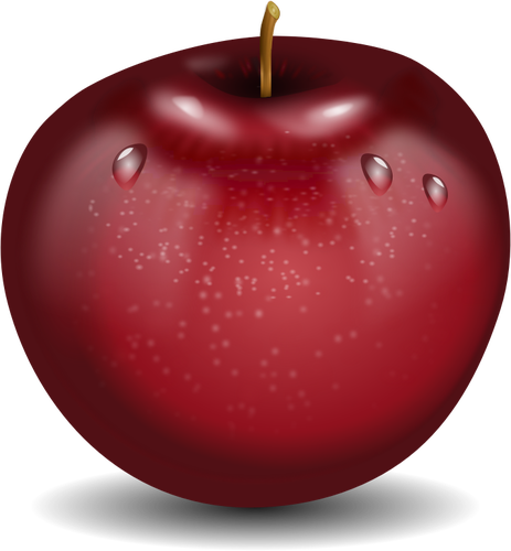 Vector drawing of photorealistic red wet apple
