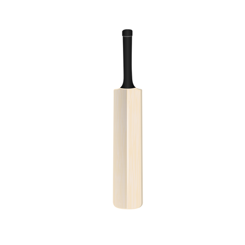 Gambar vektor kelelawar kriket