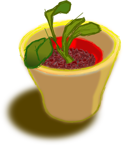 Vector afbeelding van plant in twee potten