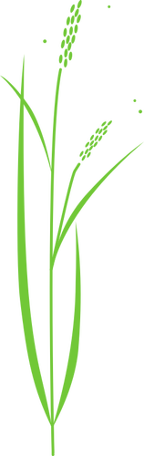 Vektor seni klip tanaman padi sederhana