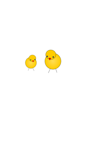 Två kycklingar