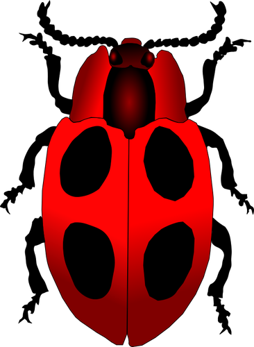 Vector afbeelding van een cartoon lieveheersbeestje inscet