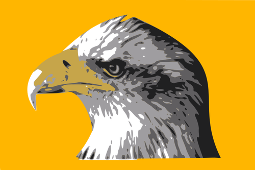 Глава белоголовый орлан векторной графики