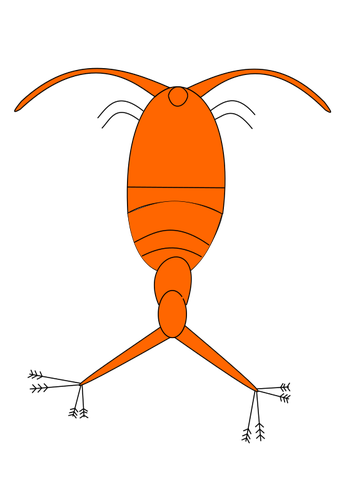 Красным планктона изображение