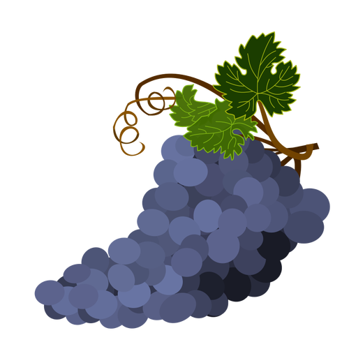 Фиолетовый виноград векторное изображение