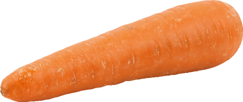 Simbol wortel