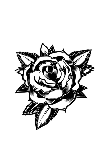 Черный и белый расцвела роза