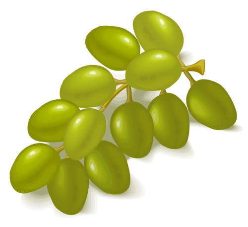 Imagem de uvas verdes